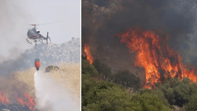 italyanin sicilya adasi orman yanginlariyla mucadele ediyor D1nghOvA