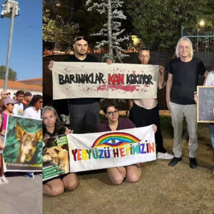 sokak kopekleri icin valilikte protesto yavasogullarindan kadikoyde destek qj1xCtnB