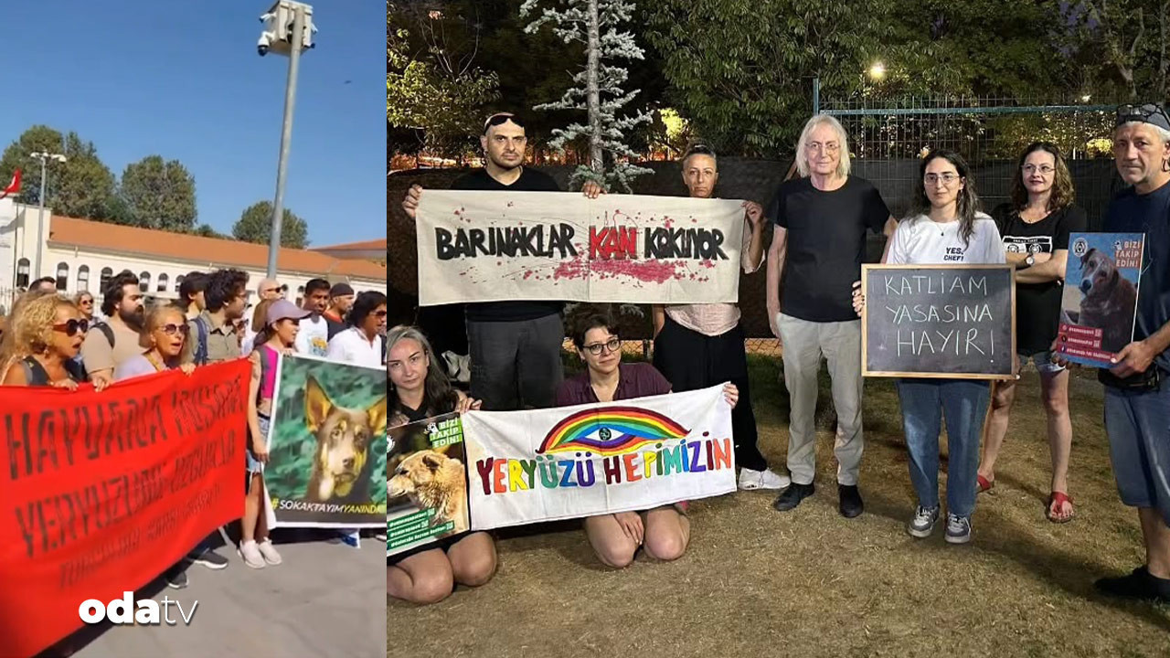 sokak kopekleri icin valilikte protesto yavasogullarindan kadikoyde destek qj1xCtnB