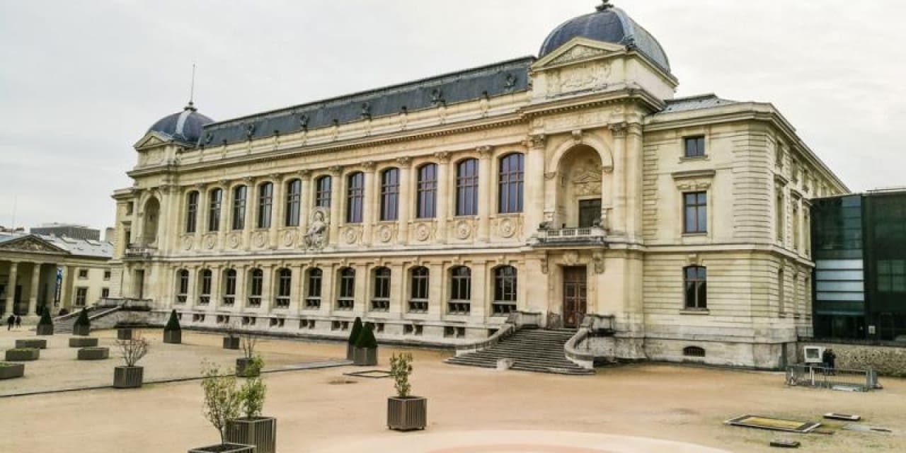 baskentte muze soygunu 29 milyonluk altin calindi 3vTbVUyI