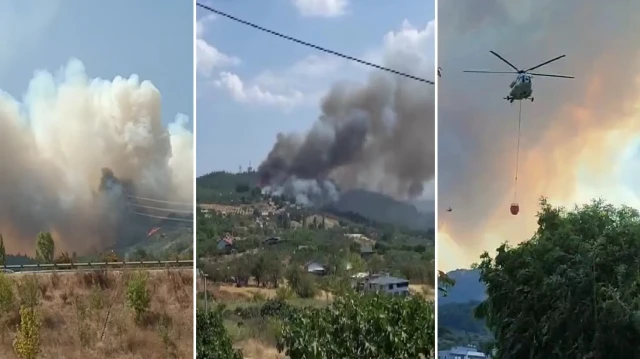 bursada orman yangini ruzgarin etkisiyle hizla ilerleyen yangina mudahale ediliyor QdplqkhE