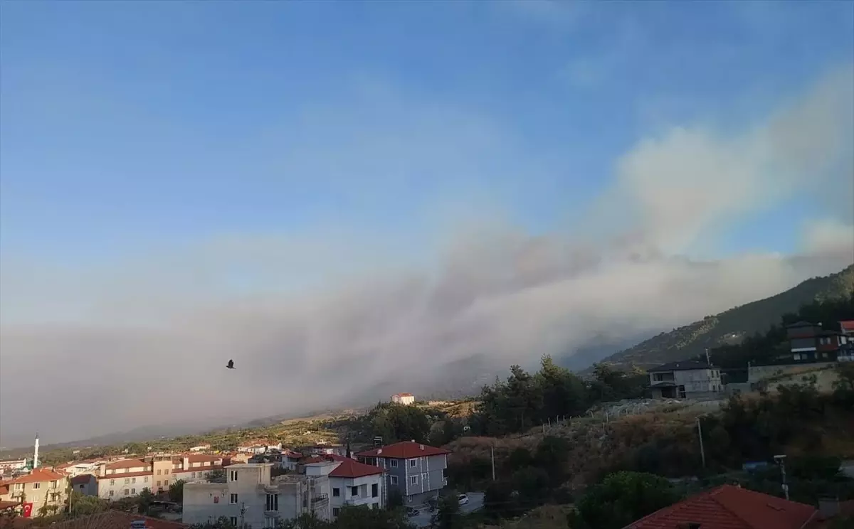 denizlide orman yangini kontrol altinda qSAKSUAO