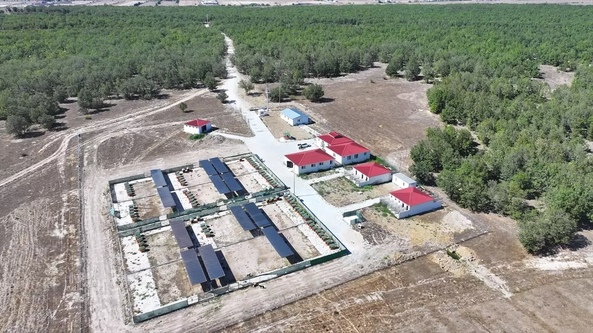 kapakliya dogal yasam alani ruhsati c5DqFZxE