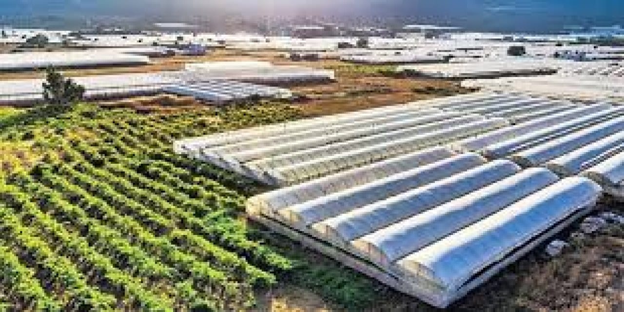 silopide tarimda donusum basladi 1000 kisiye is binlerce sofraya urun SEG63J44