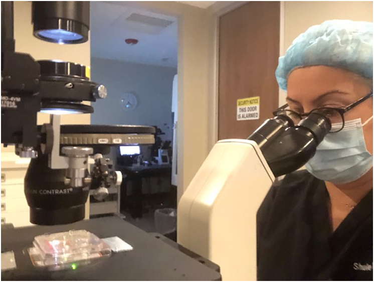 Türk Kadınının ABD'deki Tüp Bebek Başarısı