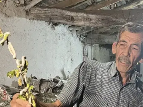 6 yıldır evinin altında üretiyor: 40 günde 216 bin TL kazanıyor